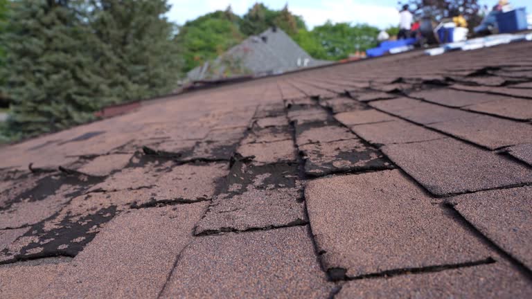 Professional Roofing Services in Kensington, CA
