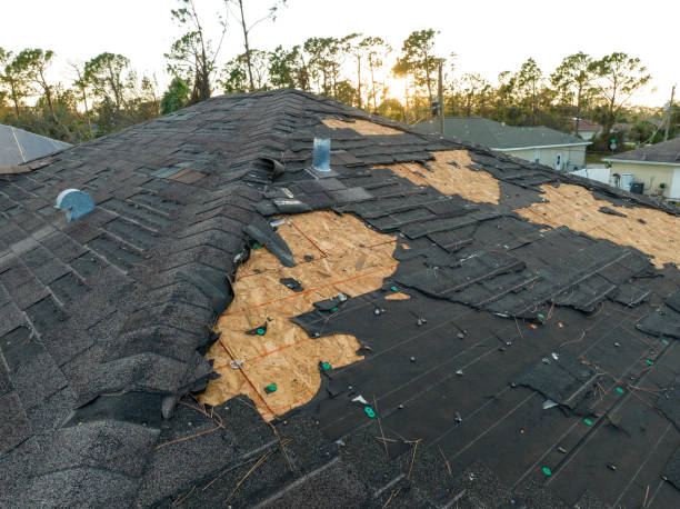 Best Skylight Installation and Repair  in Kensington, CA