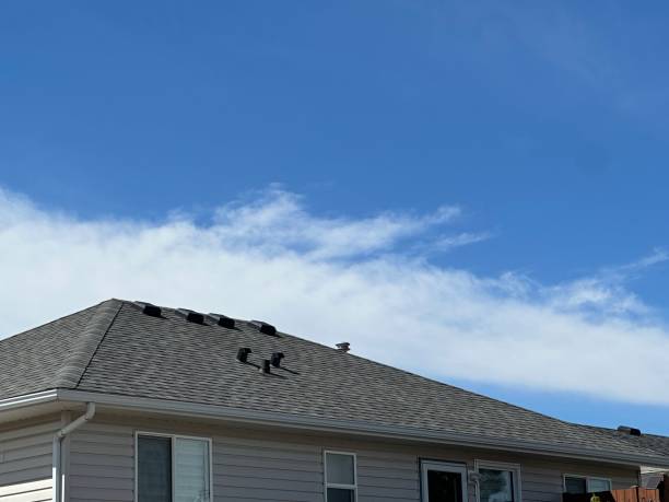 Best Roof Maintenance and Cleaning  in Kensington, CA